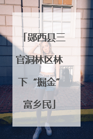 郧西县三官洞林区林下“掘金”富乡民