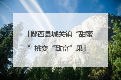 郧西县城关镇“甜蜜”桃变“致富”果