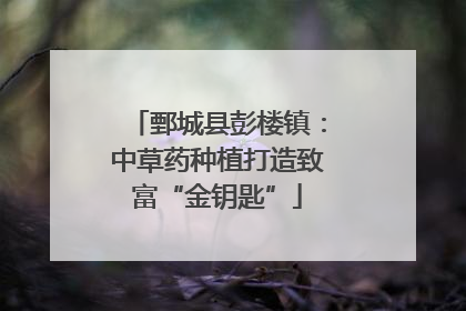 鄄城县彭楼镇：中草药种植打造致富“金钥匙”