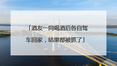 酒友一同喝酒后各自驾车回家，结果都被抓了
