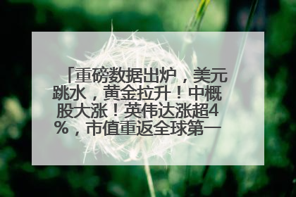 重磅数据出炉，美元跳水，黄金拉升！中概股大涨！英伟达涨超4%，市值重返全球第一！黄仁勋计划出售至多600万股股票