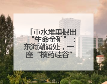 重水堆里掘出“生命金矿”：东海潮涌处，一座“核药硅谷”的崛起