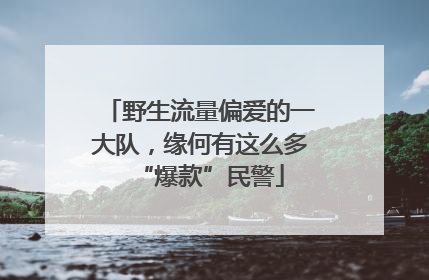 野生流量偏爱的一大队，缘何有这么多“爆款”民警