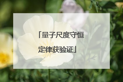 量子尺度守恒定律获验证