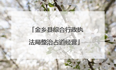 金乡县综合行政执法局整治占道经营