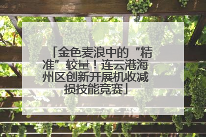 金色麦浪中的“精准”较量！连云港海州区创新开展机收减损技能竞赛