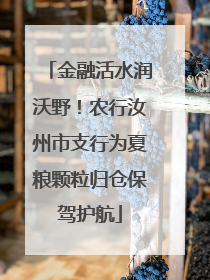 金融活水润沃野！农行汝州市支行为夏粮颗粒归仓保驾护航