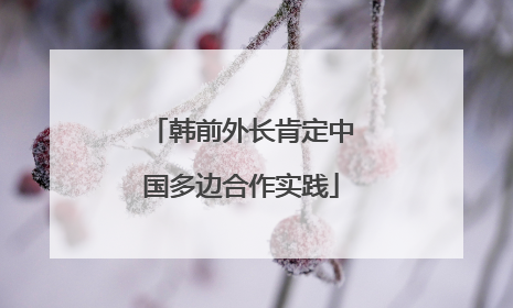 韩前外长肯定中国多边合作实践
