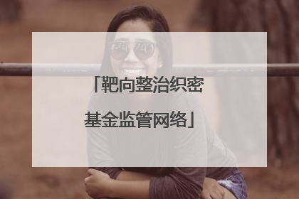 靶向整治织密基金监管网络