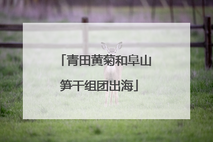 青田黄菊和阜山笋干组团出海