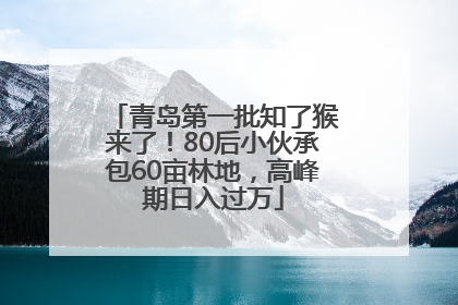 青岛第一批知了猴来了！80后小伙承包60亩林地，高峰期日入过万