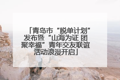 青岛市“脱单计划”发布暨“山海为证 团聚幸福”青年交友联谊活动浪漫开启