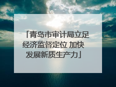 青岛市审计局立足经济监督定位 加快发展新质生产力