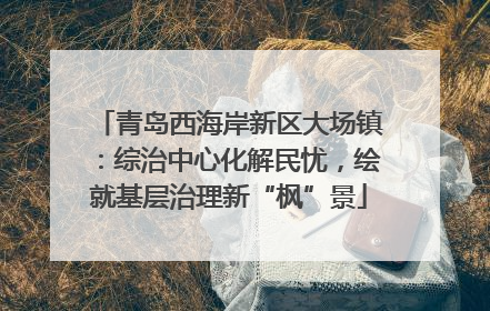 青岛西海岸新区大场镇：综治中心化解民忧，绘就基层治理新“枫”景