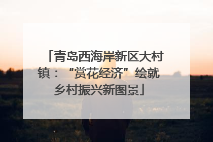 青岛西海岸新区大村镇：“赏花经济”绘就乡村振兴新图景