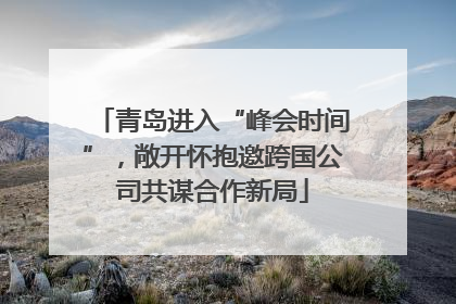 青岛进入“峰会时间”，敞开怀抱邀跨国公司共谋合作新局