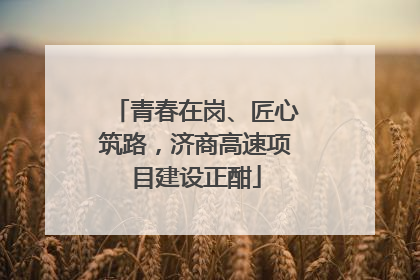 青春在岗、匠心筑路，济商高速项目建设正酣