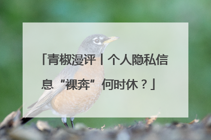 青椒漫评丨个人隐私信息“裸奔”何时休？