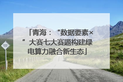 青海：“数据要素×”大赛七大赛题构建绿电算力融合新生态