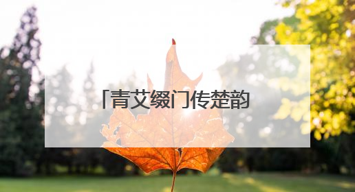 青艾缀门传楚韵 青岛郑州路第二小学开展端午节活动
