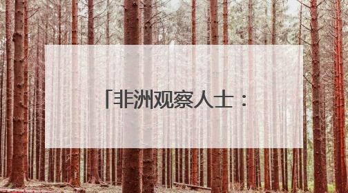 非洲观察人士：“一带一路”倡议至关重要 美国双标行径贻笑大方