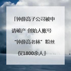 钟薛高子公司被申请破产 创始人账号“钟薛高老林”粉丝仅1800余人