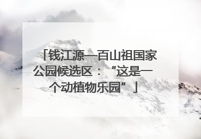 钱江源—百山祖国家公园候选区：“这是一个动植物乐园”