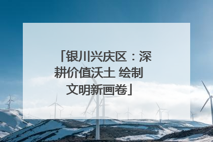 银川兴庆区：深耕价值沃土 绘制文明新画卷