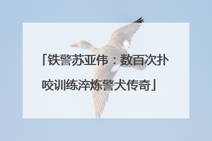 铁警苏亚伟：数百次扑咬训练淬炼警犬传奇
