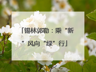锡林郭勒：乘“新”风向“绿”行