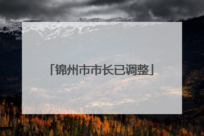 锦州市市长已调整