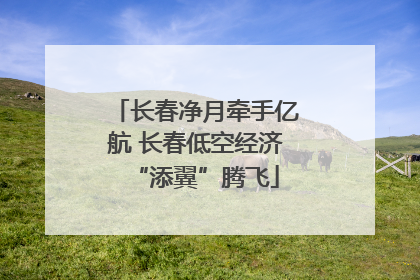 长春净月牵手亿航 长春低空经济“添翼”腾飞