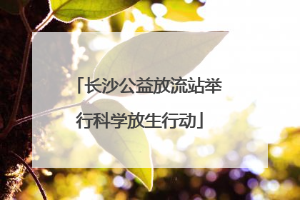 长沙公益放流站举行科学放生行动