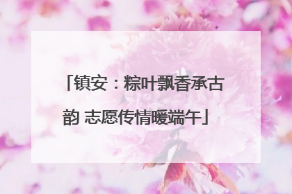 镇安：粽叶飘香承古韵 志愿传情暖端午