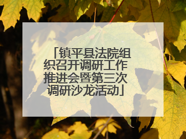 镇平县法院组织召开调研工作推进会暨第三次调研沙龙活动