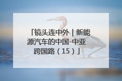 镜头连中外｜新能源汽车的中国-中亚跨国路（15）