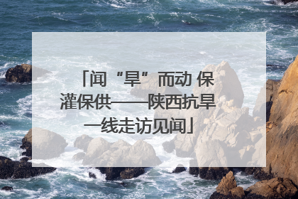 闻“旱”而动 保灌保供——陕西抗旱一线走访见闻