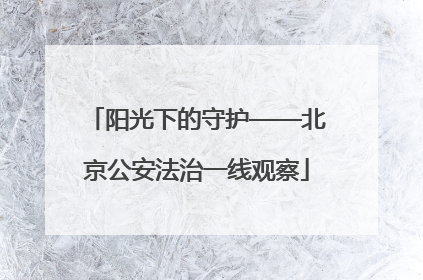 阳光下的守护——北京公安法治一线观察