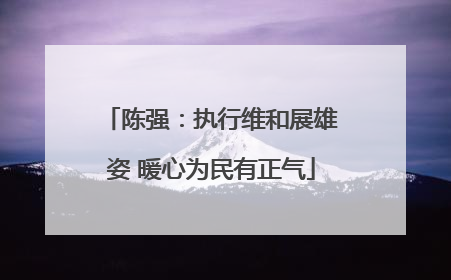 陈强：执行维和展雄姿 暖心为民有正气