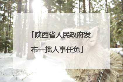 陕西省人民政府发布一批人事任免