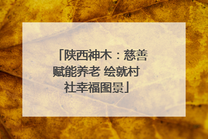 陕西神木：慈善赋能养老 绘就村社幸福图景