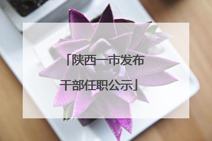 陕西一市发布干部任职公示
