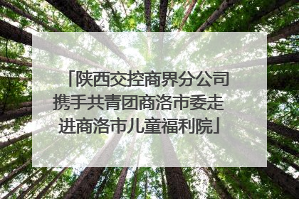 陕西交控商界分公司携手共青团商洛市委走进商洛市儿童福利院