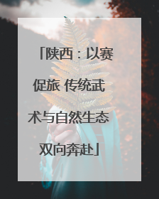 陕西：以赛促旅 传统武术与自然生态双向奔赴