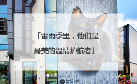 雷雨季里，他们是最美的温情护航者