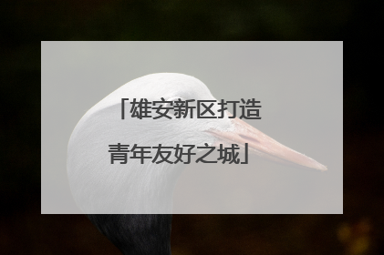 雄安新区打造青年友好之城