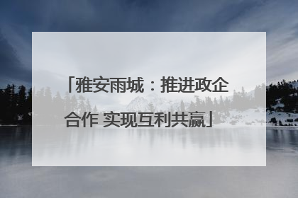 雅安雨城：推进政企合作 实现互利共赢