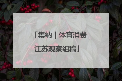 集纳｜体育消费江苏观察组稿