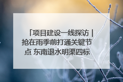 项目建设一线探访｜抢在雨季前打通关键节点 东南退水明渠四标段项目顺利完工