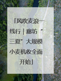 风吹麦浪一线行｜廊坊“三夏”大规模小麦机收全面开始